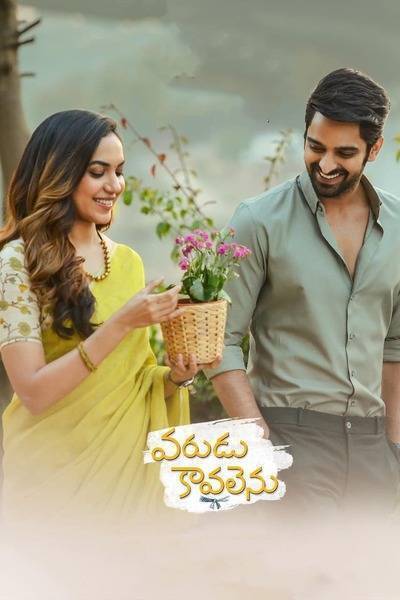 Varudu Kaavalenu Hindi Dubbed Movie Poster (2021)
