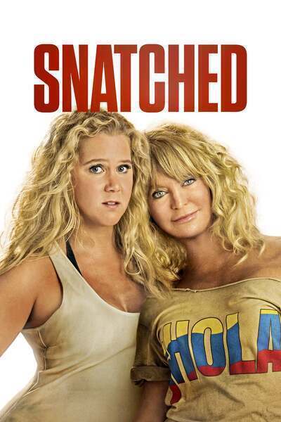 Snatched Hindi Dubbed Movie Poster (2017)