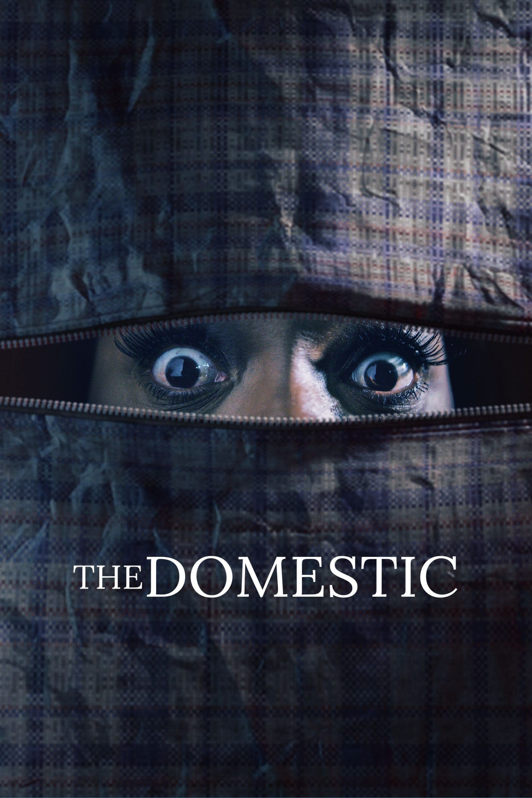 The Domestic Hindi Dubbed Movie Poster (2022)