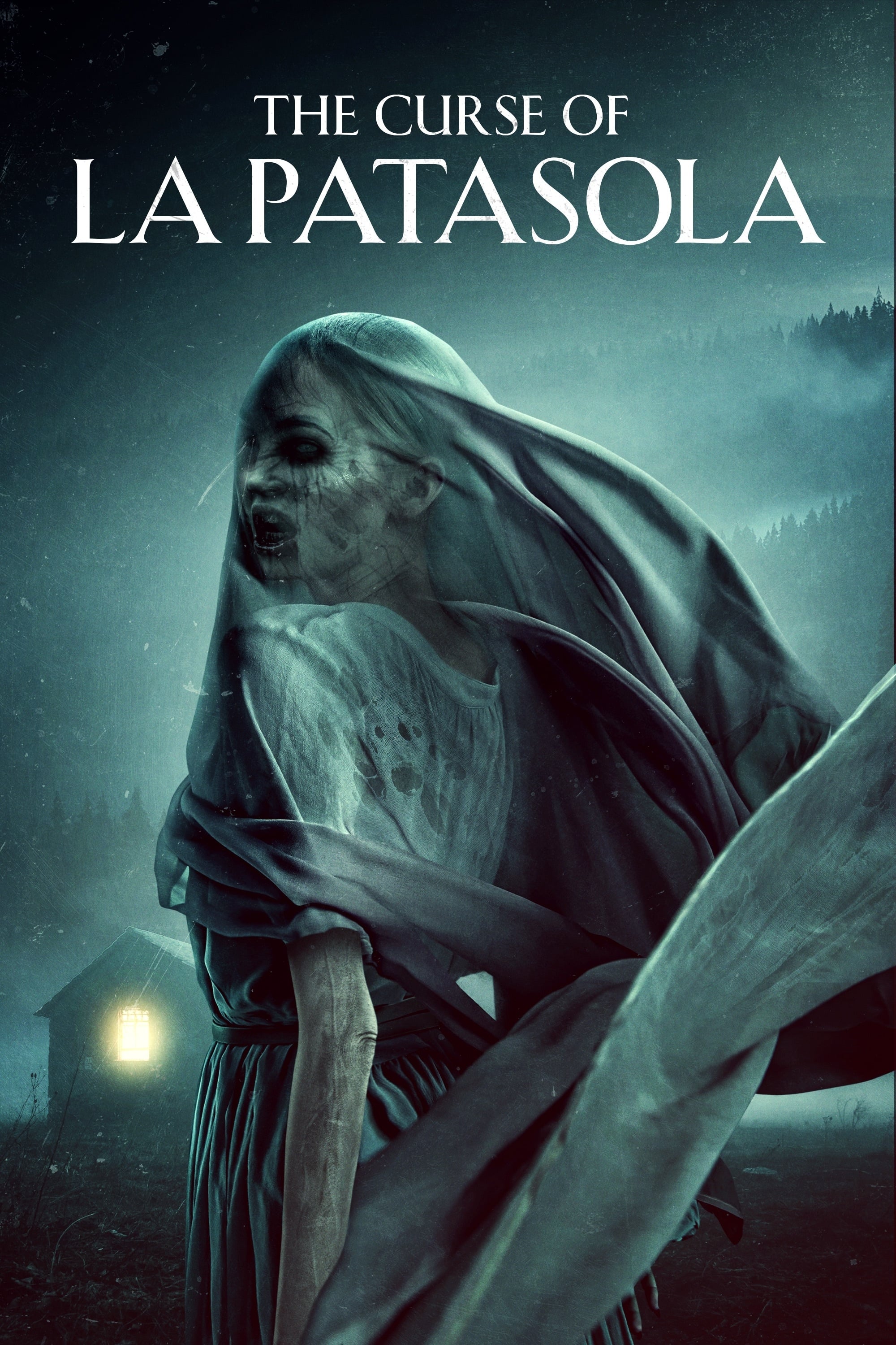 The Curse of La Patasola Hindi Dubbed Movie Poster (2022)