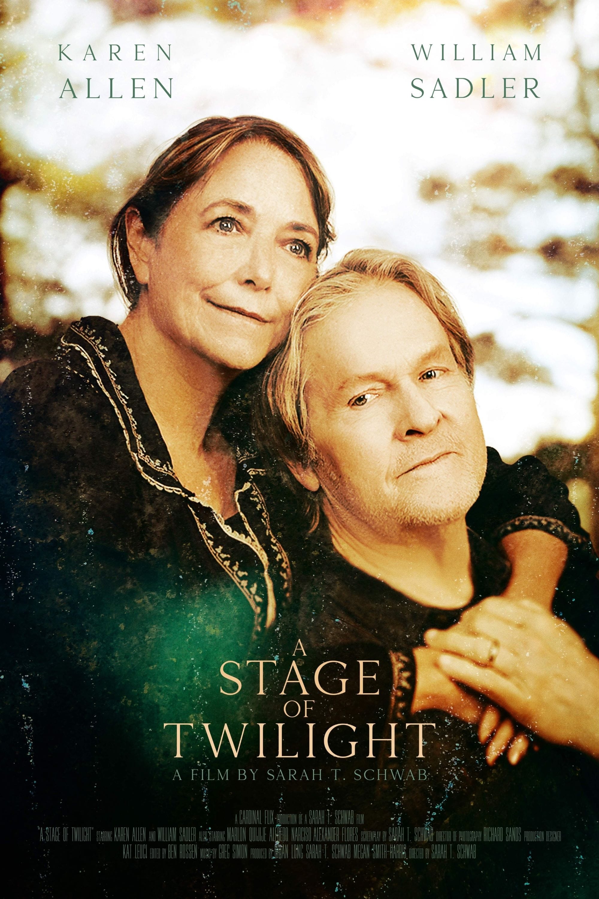 A Stage of Twilight Hindi Dubbed Movie Poster (2024)